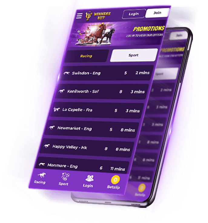 WinnersBet 
                            preview